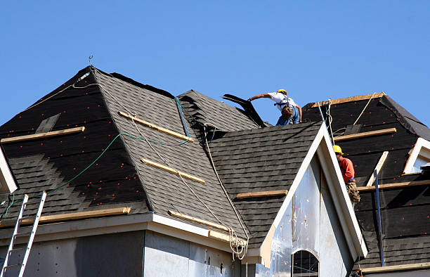 Best Metal Roofing Contractor  in St Louis, MO